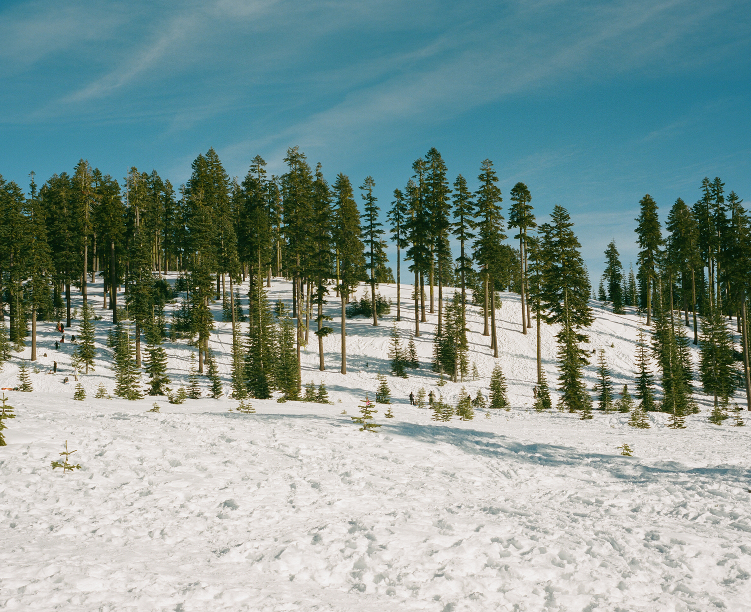PATW_04_000088790005